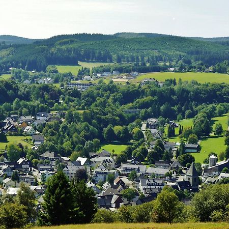 Ferienhaus Diemelquelle - Mit Eingezaeuntem Garten 维林根 外观 照片