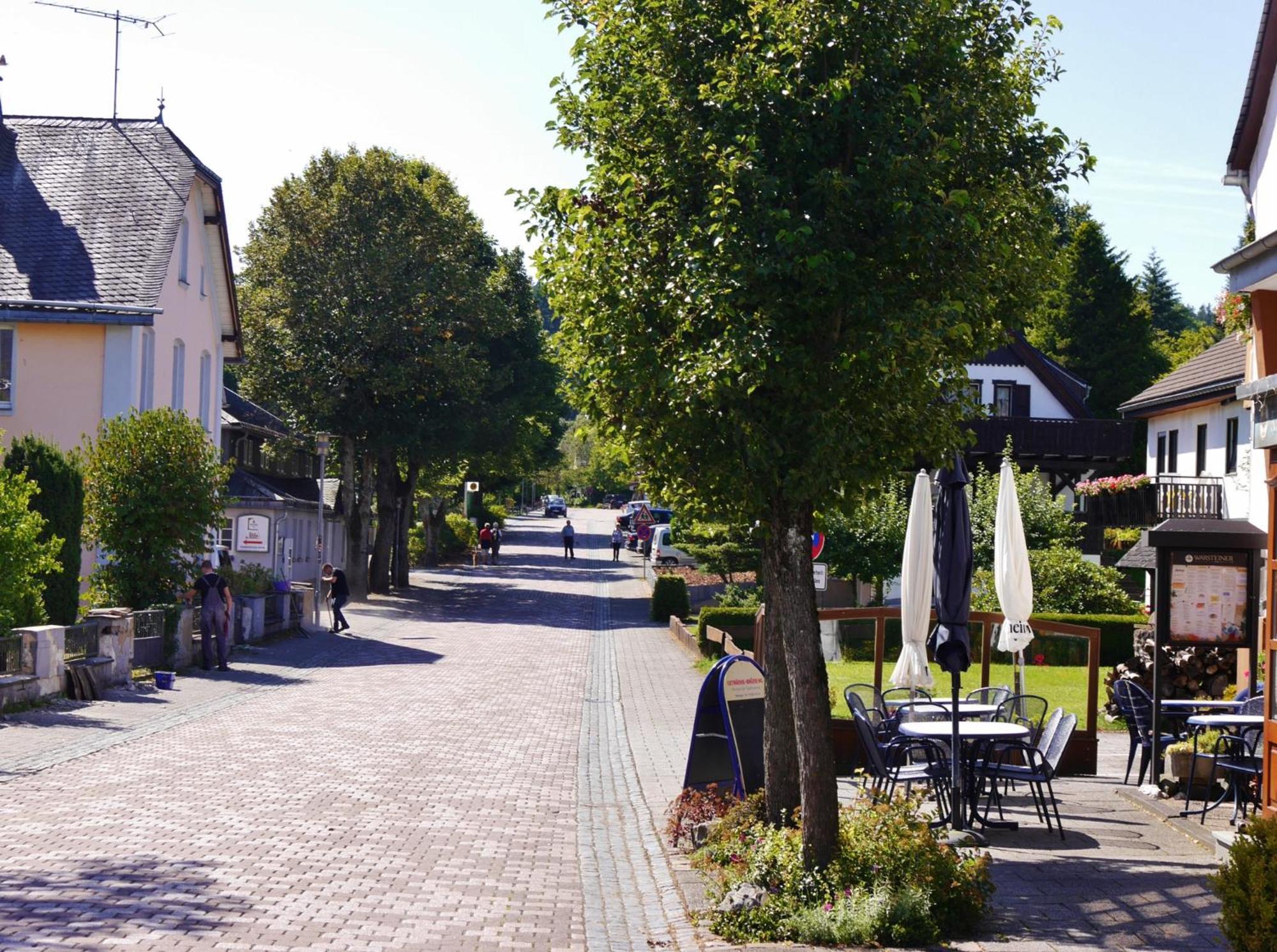 Ferienhaus Diemelquelle - Mit Eingezaeuntem Garten 维林根 外观 照片